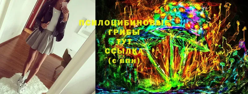 Псилоцибиновые грибы Cubensis  Поворино 